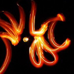 Итоги конкурса WWF + Freezelight Итоги конкурса WWF + Freezelight